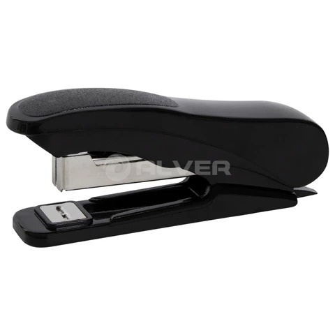 WhatsApp Image 2026-03-26 at 11.39.13