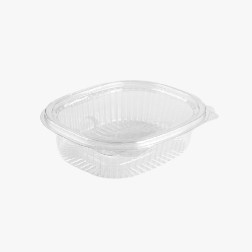 WhatsApp Image 2026-01-15 at 09.43.16