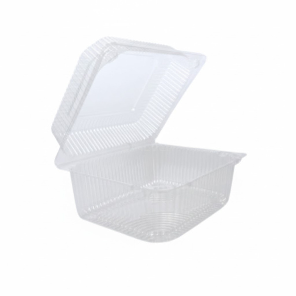 WhatsApp Image 2026-02-05 at 10.57.46