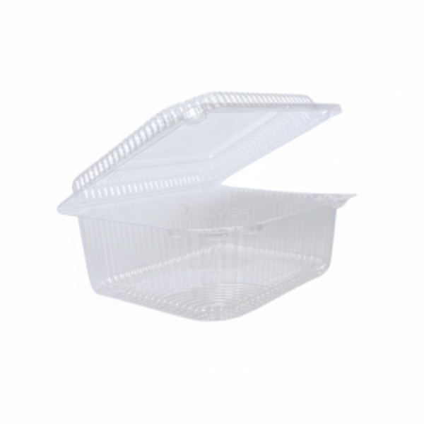 WhatsApp Image 2026-02-05 at 10.58.16