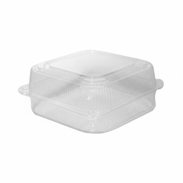 WhatsApp Image 2026-02-05 at 09.37.34