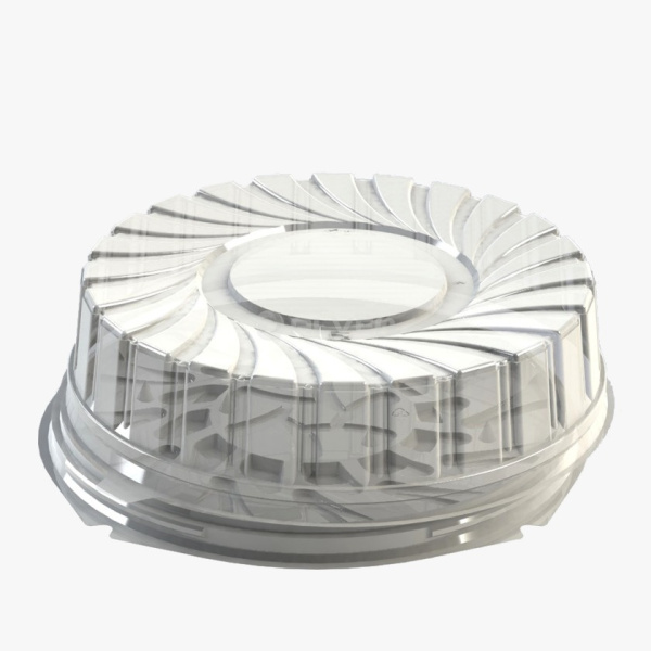 WhatsApp Image 2026-03-19 at 13.04.34